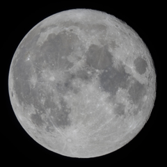 月齢15.0　151127