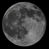 月齢15.8　140613