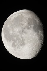 月齢18.1　160227