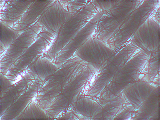 惑星撮影の練習　カーテンの撮影