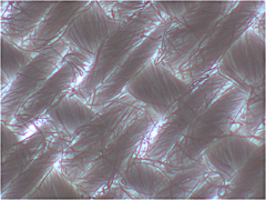 惑星撮影の練習　カーテンの撮影