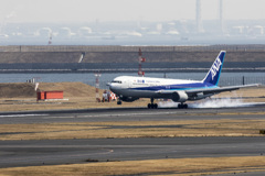 ANA　着陸　20170226029