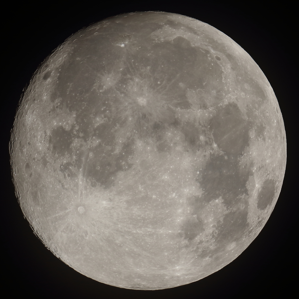 月齢14.5　150602