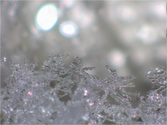 雪 19-02-10 00-23-45