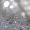 雪 19-02-10 00-23-45