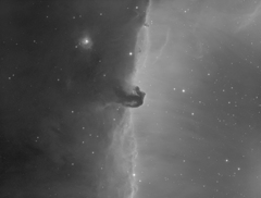 馬頭星雲　210105