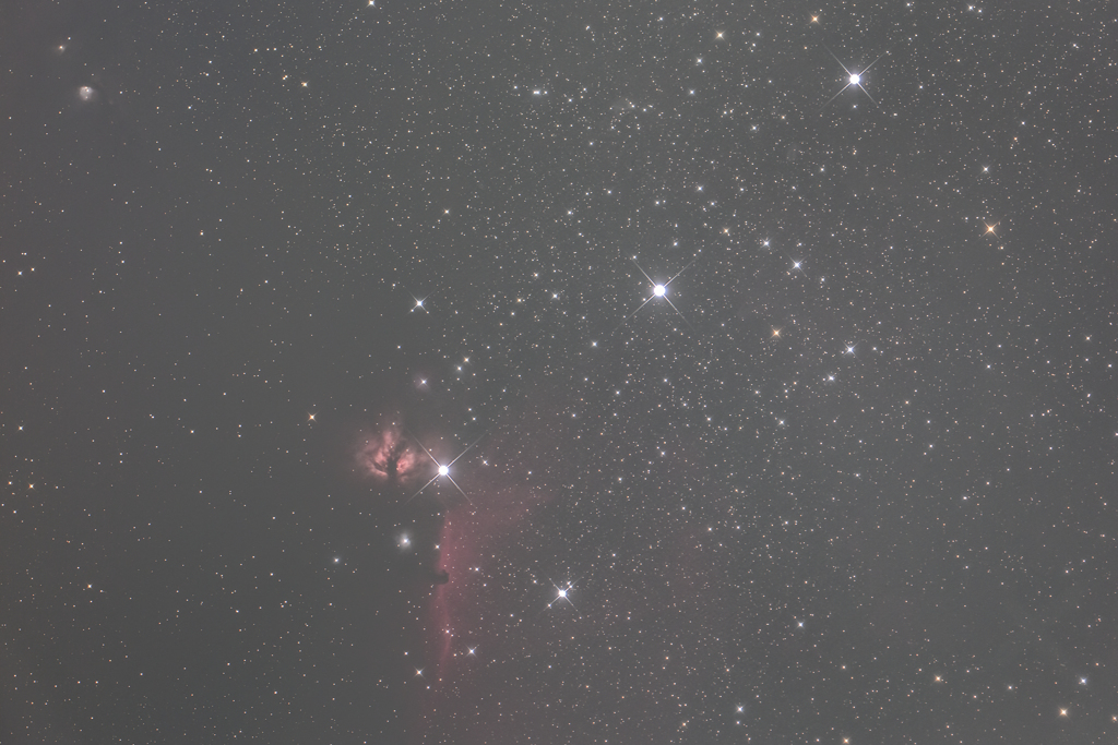 ピント確認画像