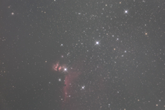 ピント確認画像