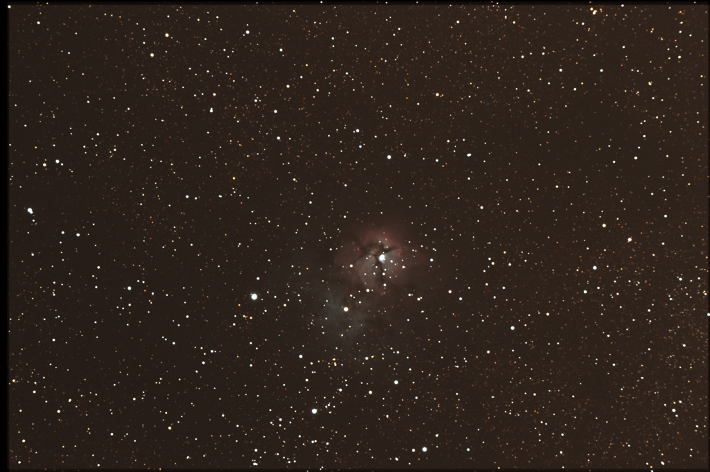 取り敢えず撮ってみました⑤