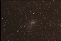 取り敢えず撮ってみました⑤