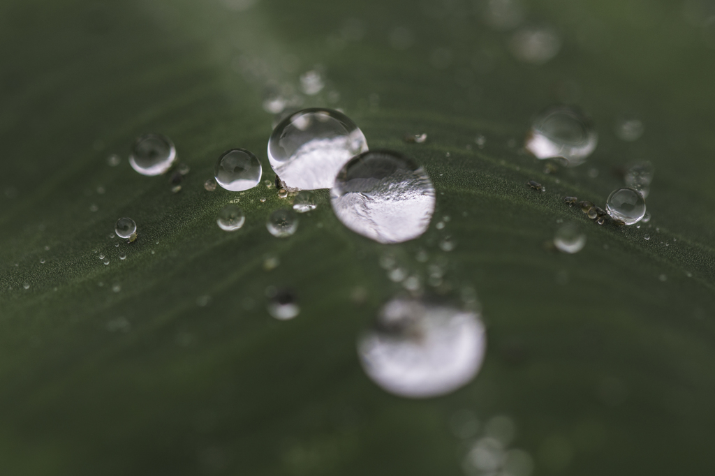 水滴