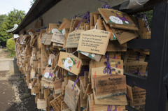 絵馬　上野東照宮