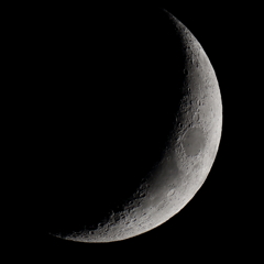 月齢4.3　150522