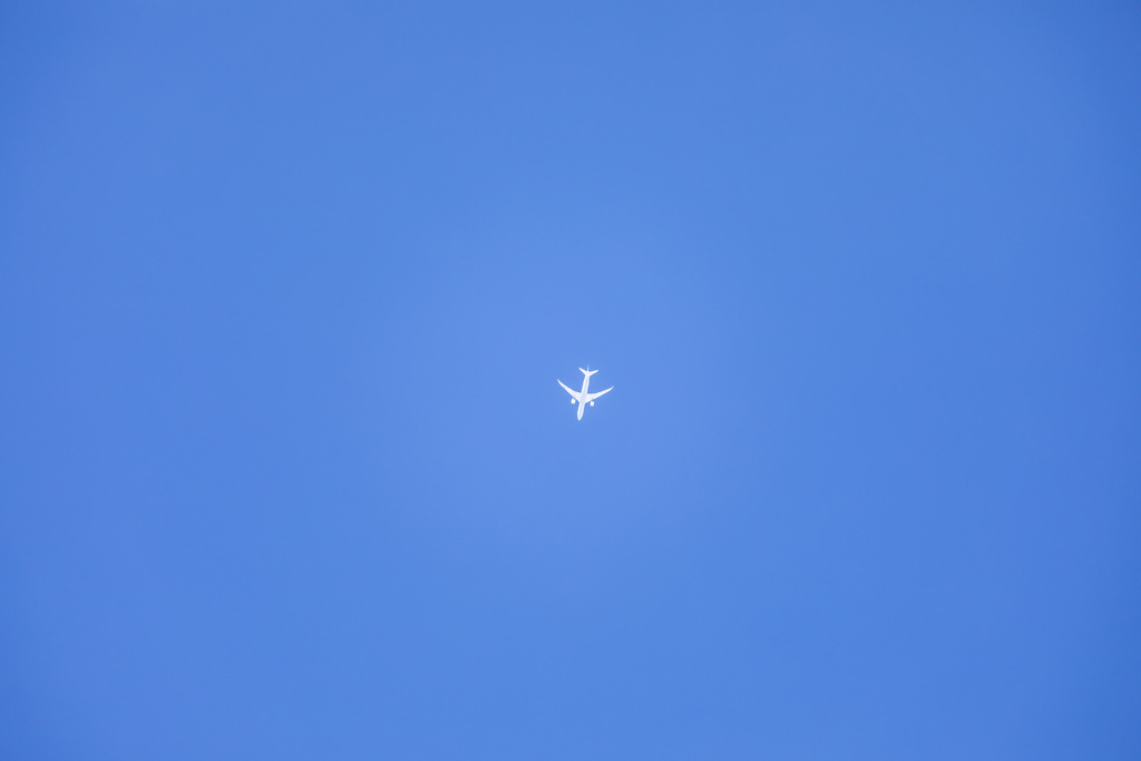 飛行機