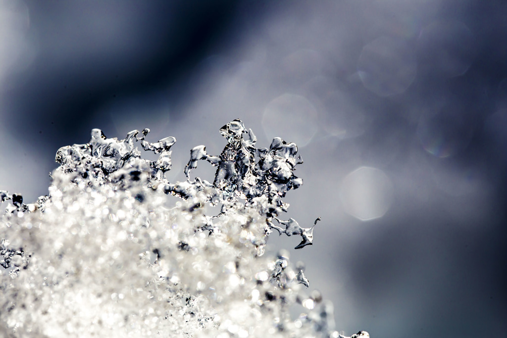 残雪