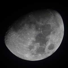 大晦日の月　月齢9.4　141231