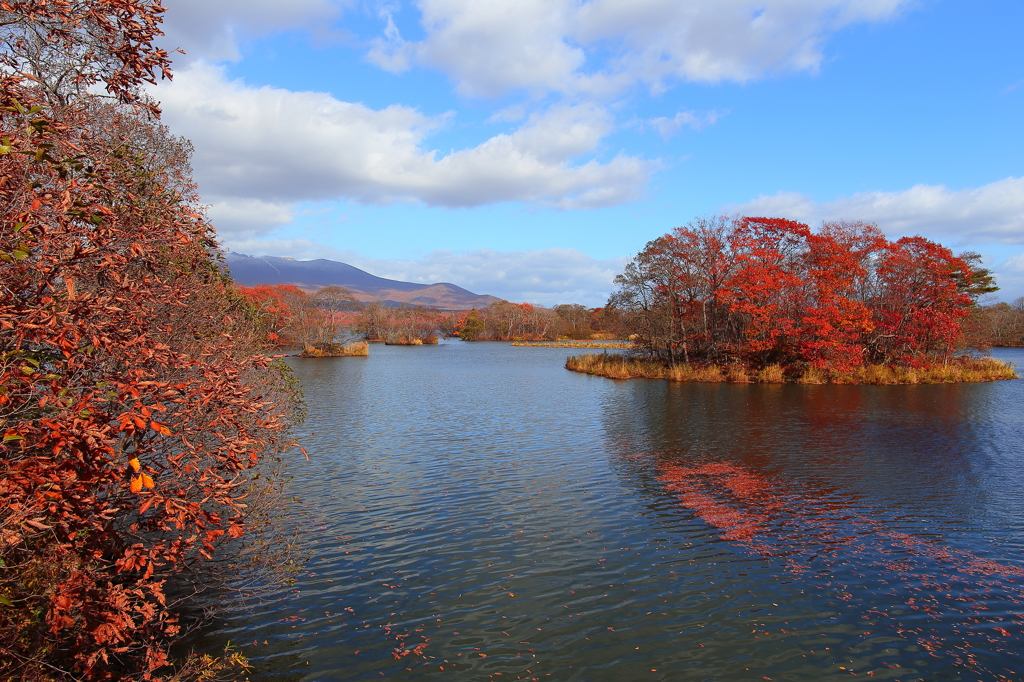大沼公園