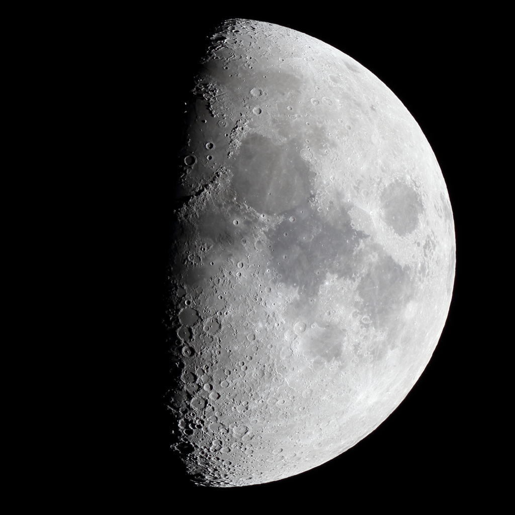 月齢8.1　150328