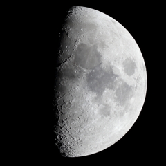 月齢8.1　150328