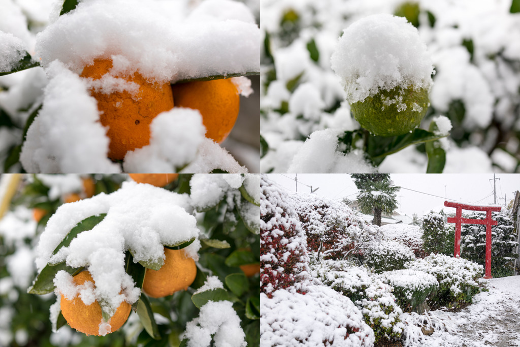 雪景色　161124-001