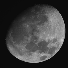 月齢11.8　181219