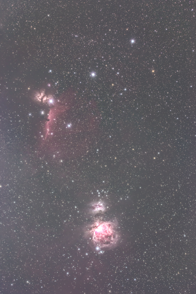 オリオン　馬頭星雲　燃える木