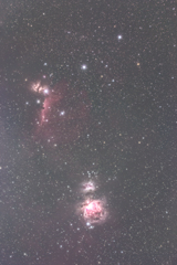 オリオン　馬頭星雲　燃える木