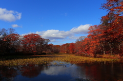 大沼公園