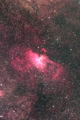 わし星雲　20170505-M16-0011