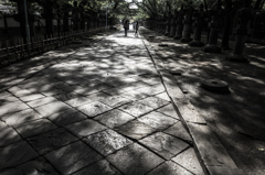 参道　上野　東照宮