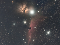 馬頭星雲　191125-001