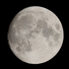 月齢　13.0　151125