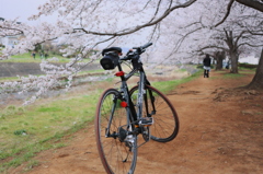 自転車