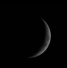 月齢4.3　191010