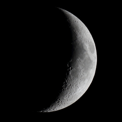 82枚の中の一枚