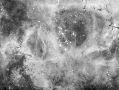バラ星雲　Ha　191229