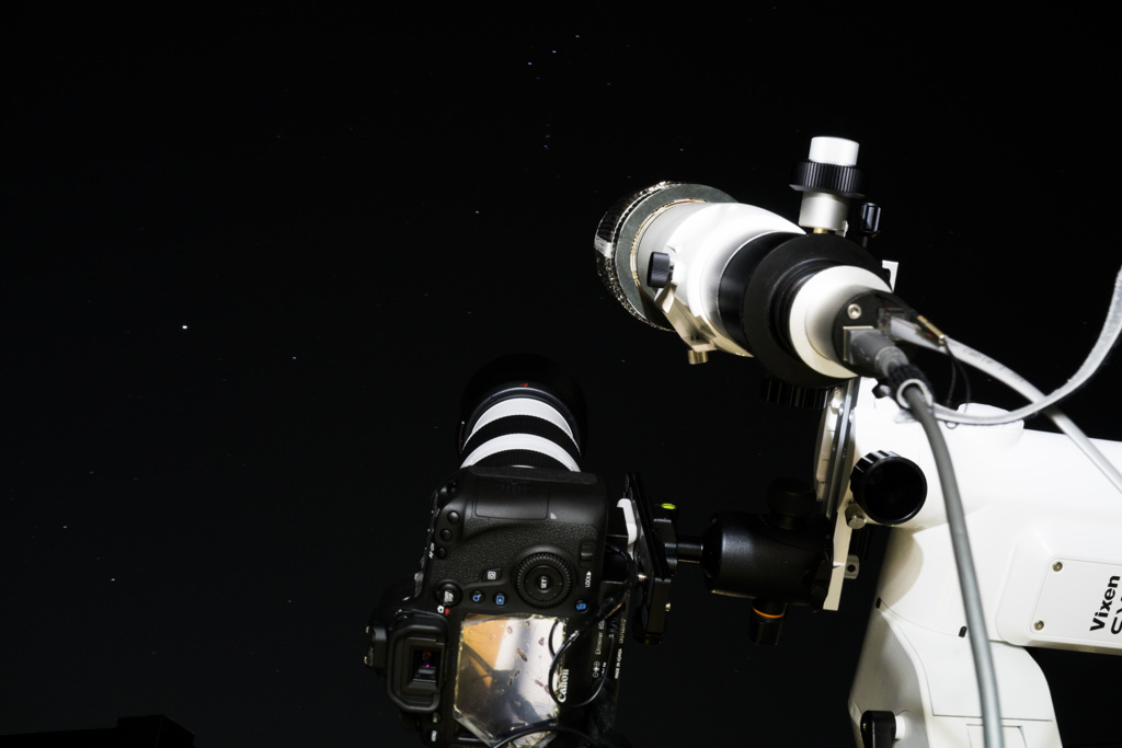 カモメ　補足準備　20170126051