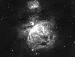 オリオン大星雲　Hα　190104