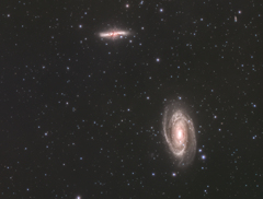 M81　190504