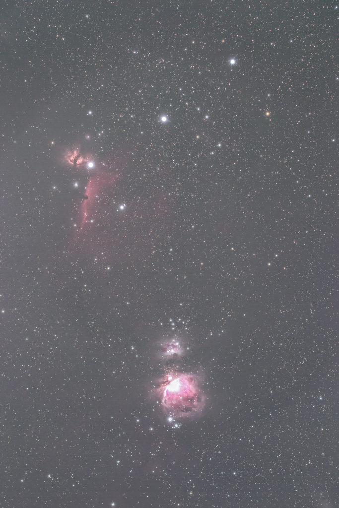 オリオン　馬頭星雲　燃える木