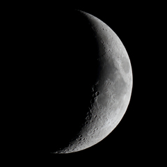 月齢5.5　151018