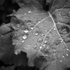 雨上がり