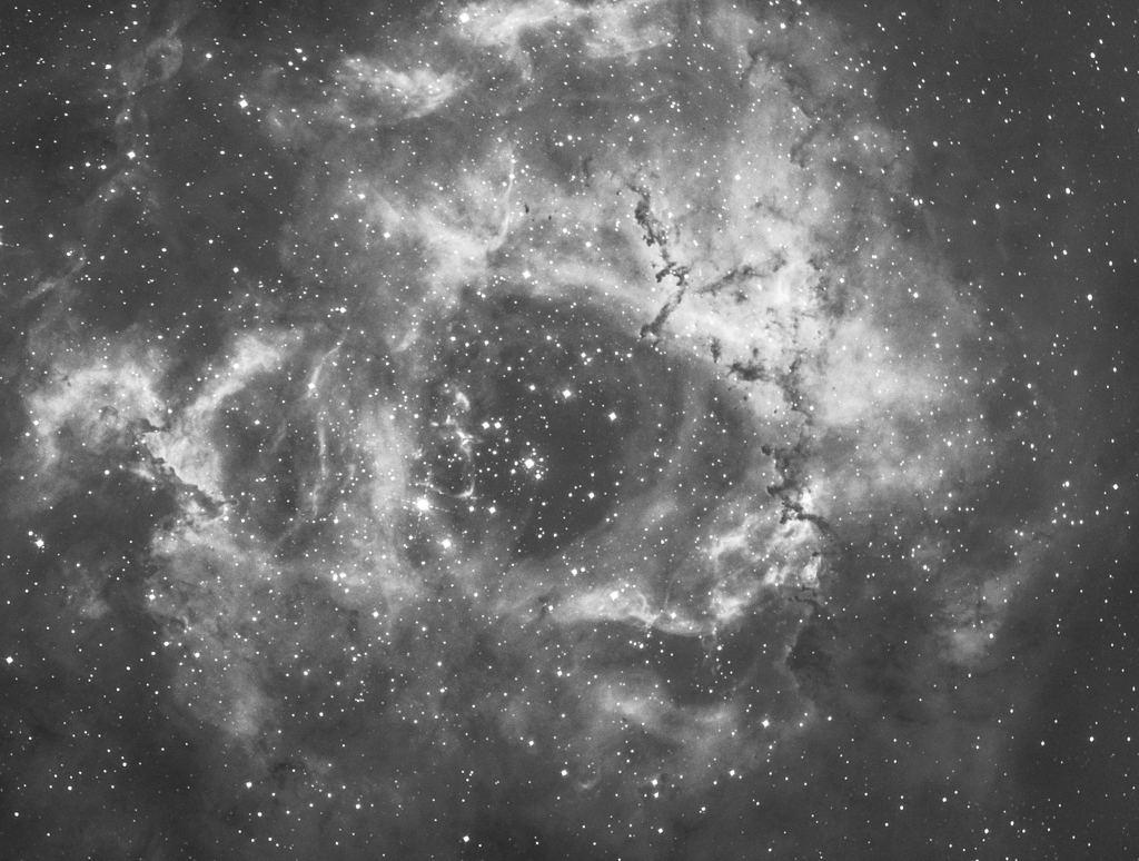 バラ星雲　190129