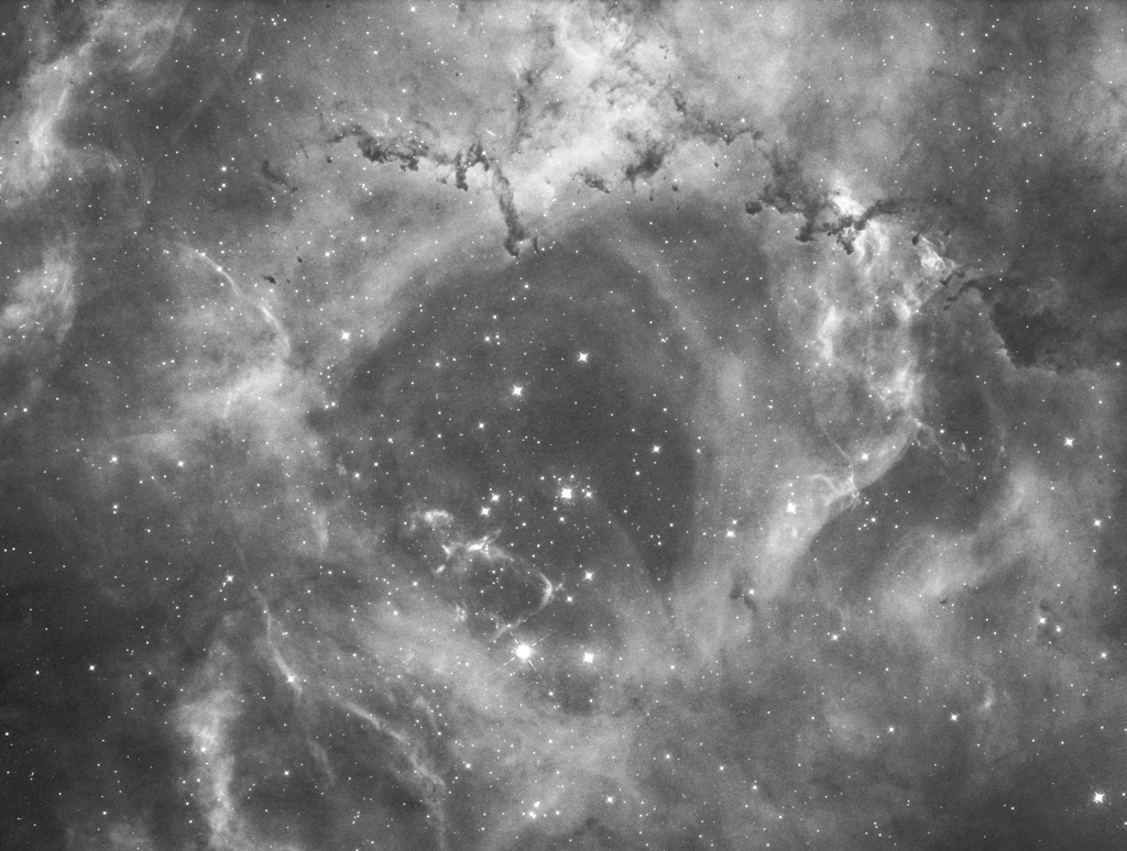 バラ星雲　200306