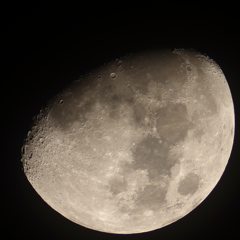 再処理　月齢　9.4