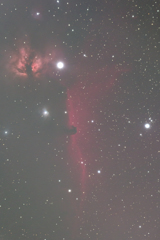 馬頭星雲　161228