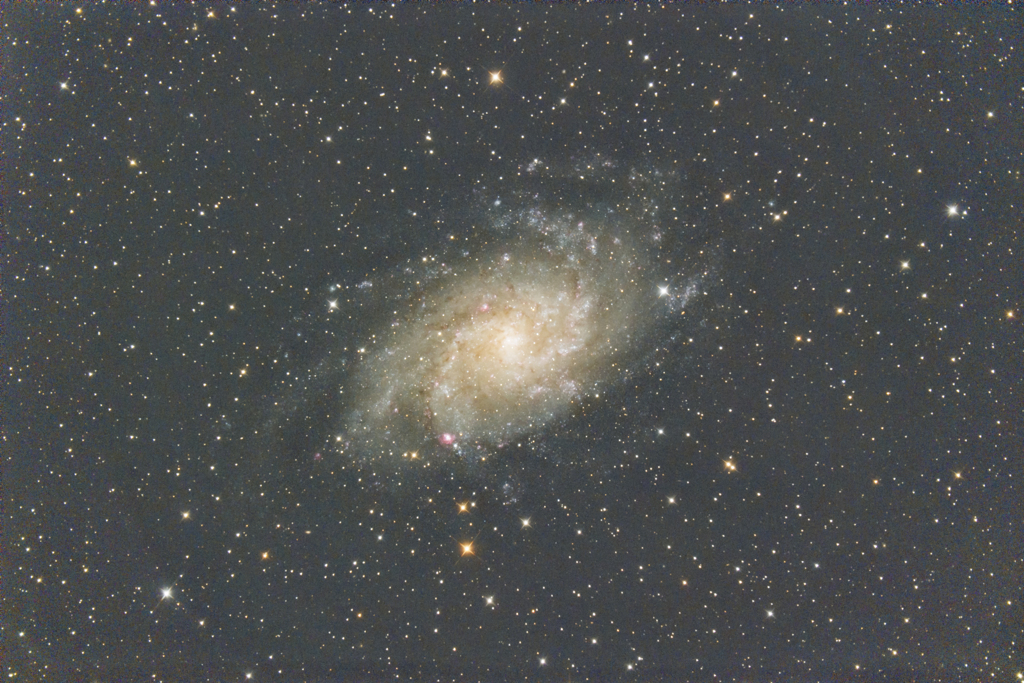 カイヤン二世さんのｍ33