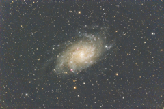 カイヤン二世さんのｍ33