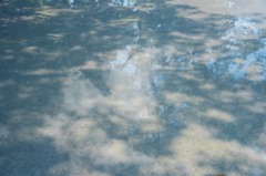 雨上がり