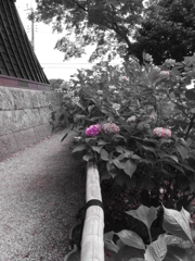 寺社仏閣